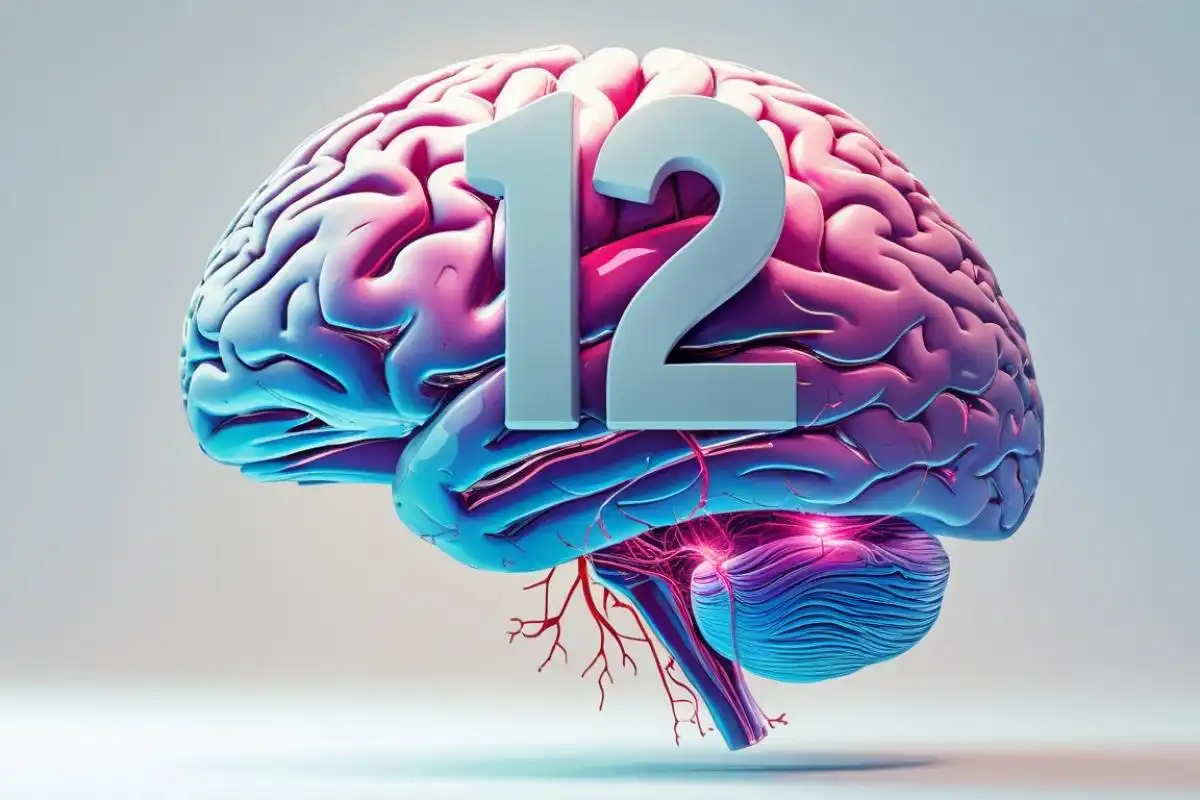 https://www.mybrain.blog.br/public/storage/articles/83524697038898cerebro-humano-12-fatos-incriveis-confirmados-pela-neurociencia-33.webp