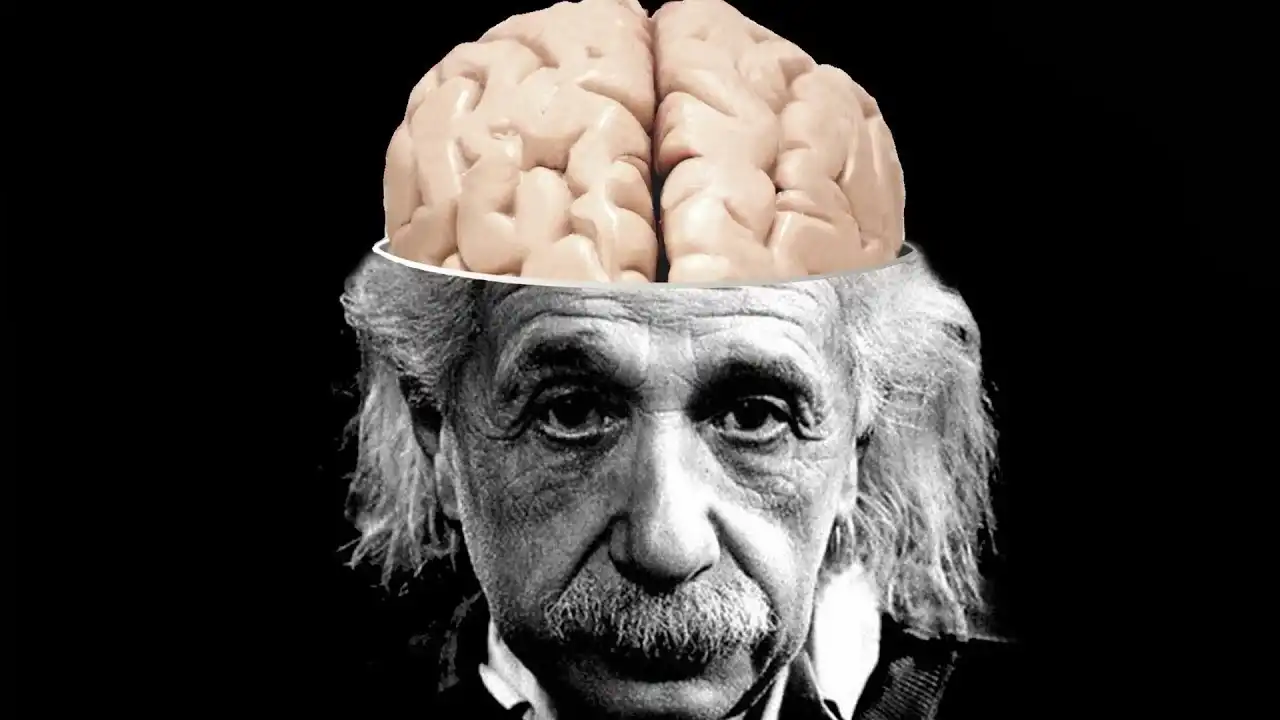 Como alcançar o potencial do cérebro humano