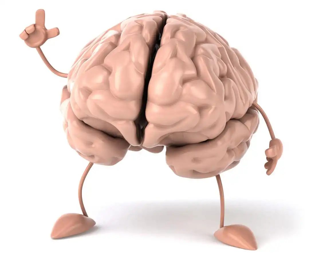 cerebro