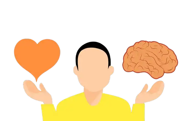 Emoções e decisões racionais
